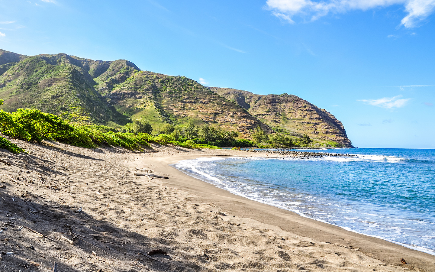 Vacaciones de invierno cálidas en Estados Unidos