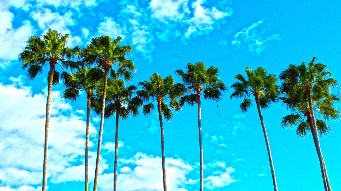 CBX: 5 razones para cruzar al Sur de California
