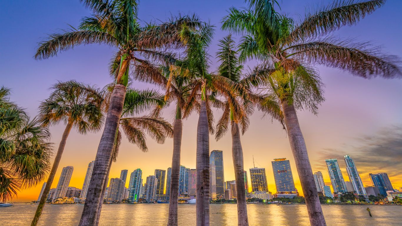 Miami entre arte y aventuras