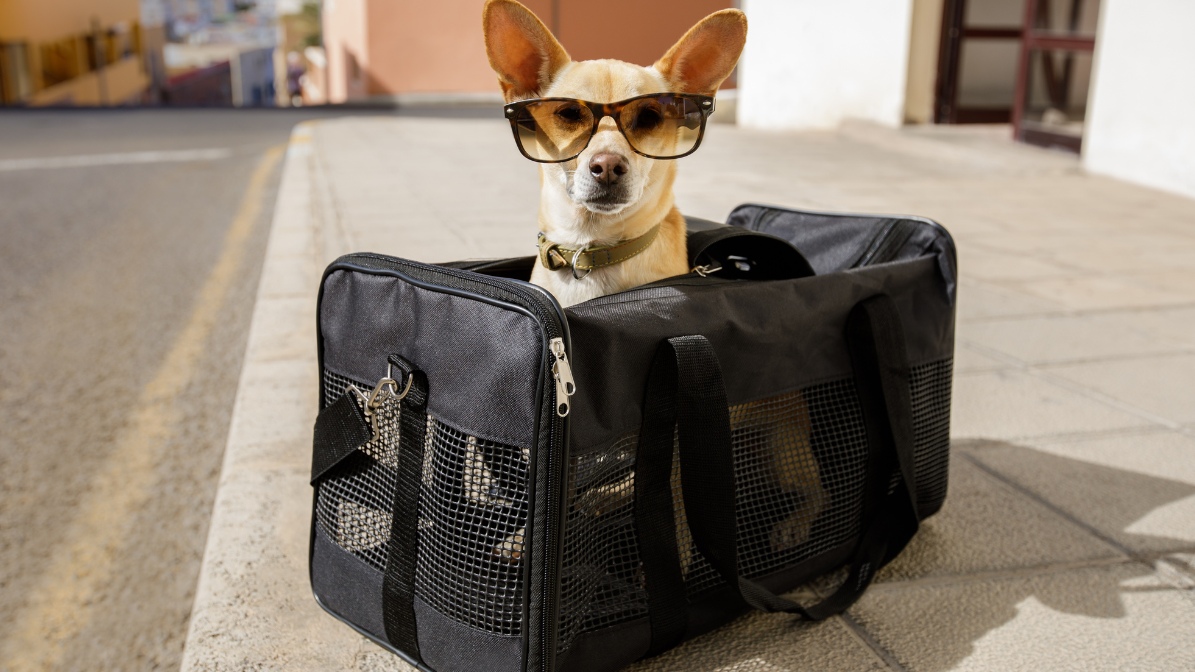 10 rituales de Año Nuevo para viajar más